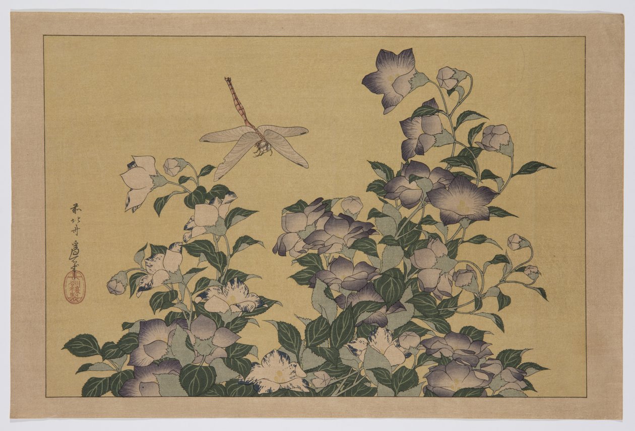 Klokkeblomst og guldsmede (træbloktryk i farver) af Katsushika Hokusai