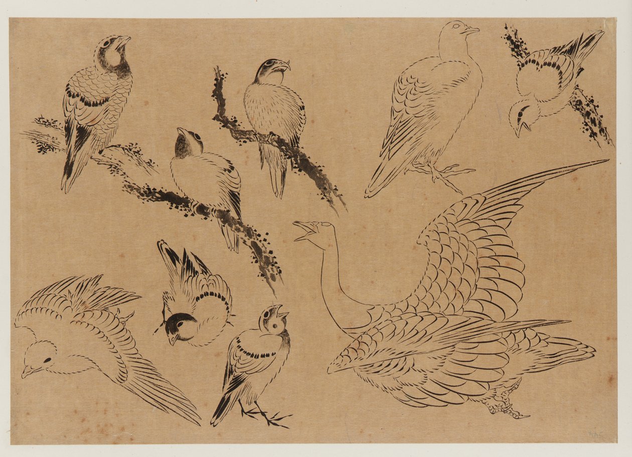 Fugle, Edo-periode, slutningen af det 18.-begyndelsen af det 19. århundrede. af Katsushika Hokusai