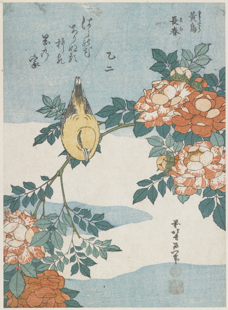 Black-Naped Oriole og China Rose, ca. 1833 af Katsushika Hokusai