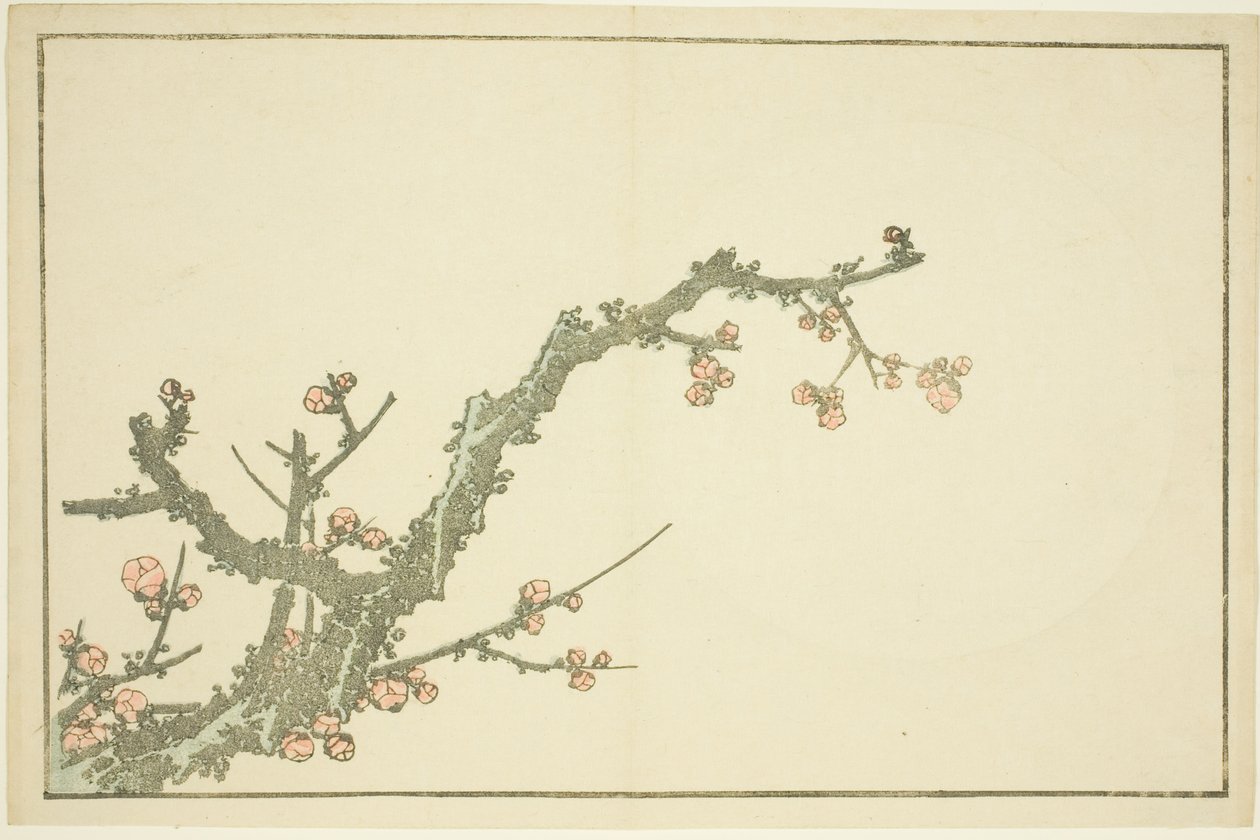 Blooming Plum Tree, fra The Picture Book of Realistic Paintings of Hokusai (Hokusai shashin gafu) af Katsushika Hokusai