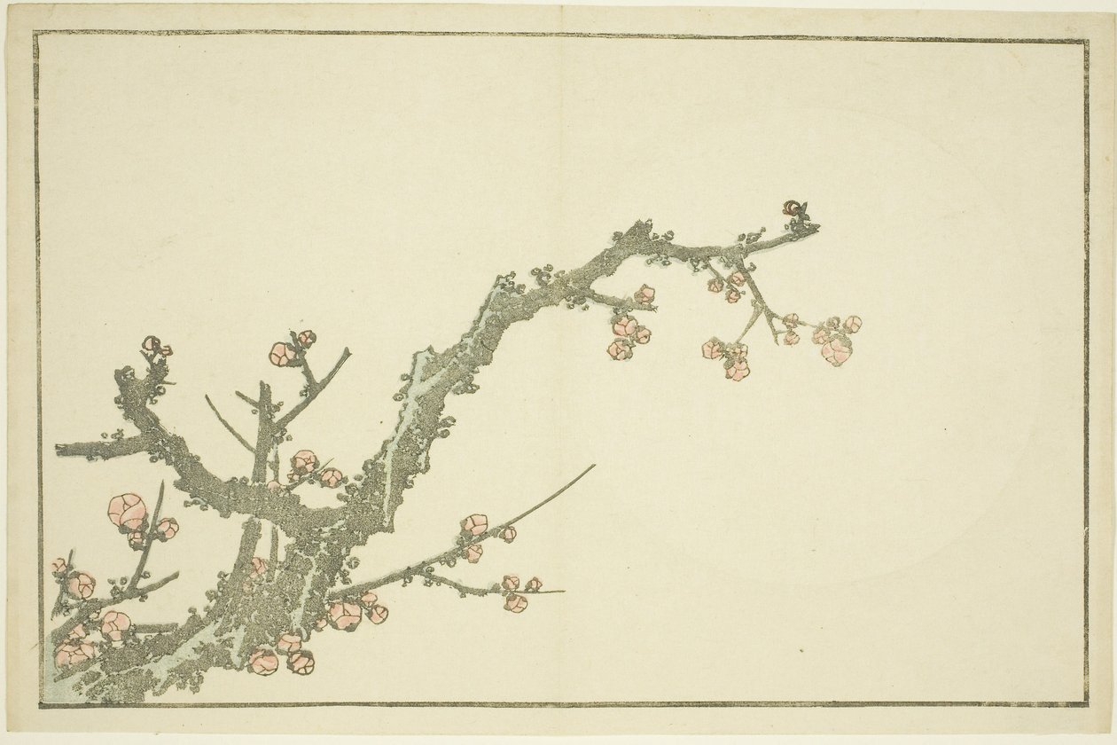 Blomstrende blommetræ, fra The Picture Book of Realistic Paintings of Hokusai (Hokusai shashin gafu), ca. 1814 (farvetræsnit (albumark)) af Katsushika Hokusai