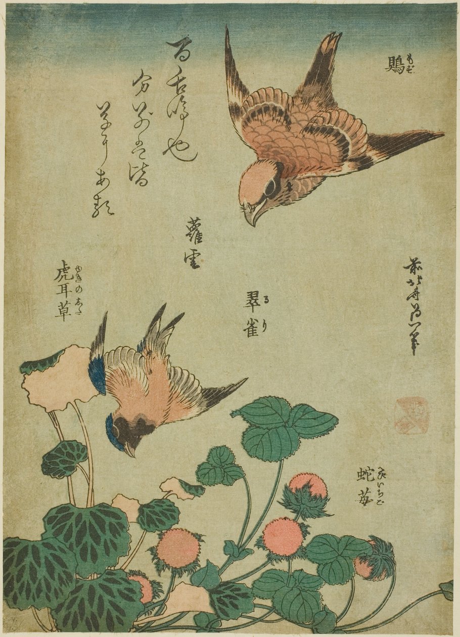Tyrehovedet Shrike og Bluebird med Saxifrage og vilde jordbær (Mozu, ruri, yukinoshita, hebi-ichigo), fra en unavngiven serie af blomster og fugle af Katsushika Hokusai