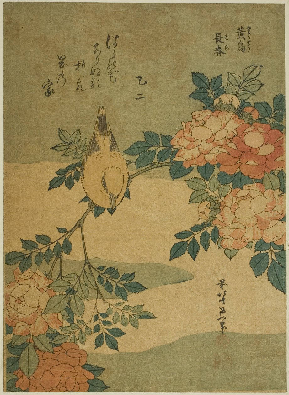 Bush Warbler and Rose (Kocho, bara), fra en unavngiven serie af blomster og fugle af Katsushika Hokusai