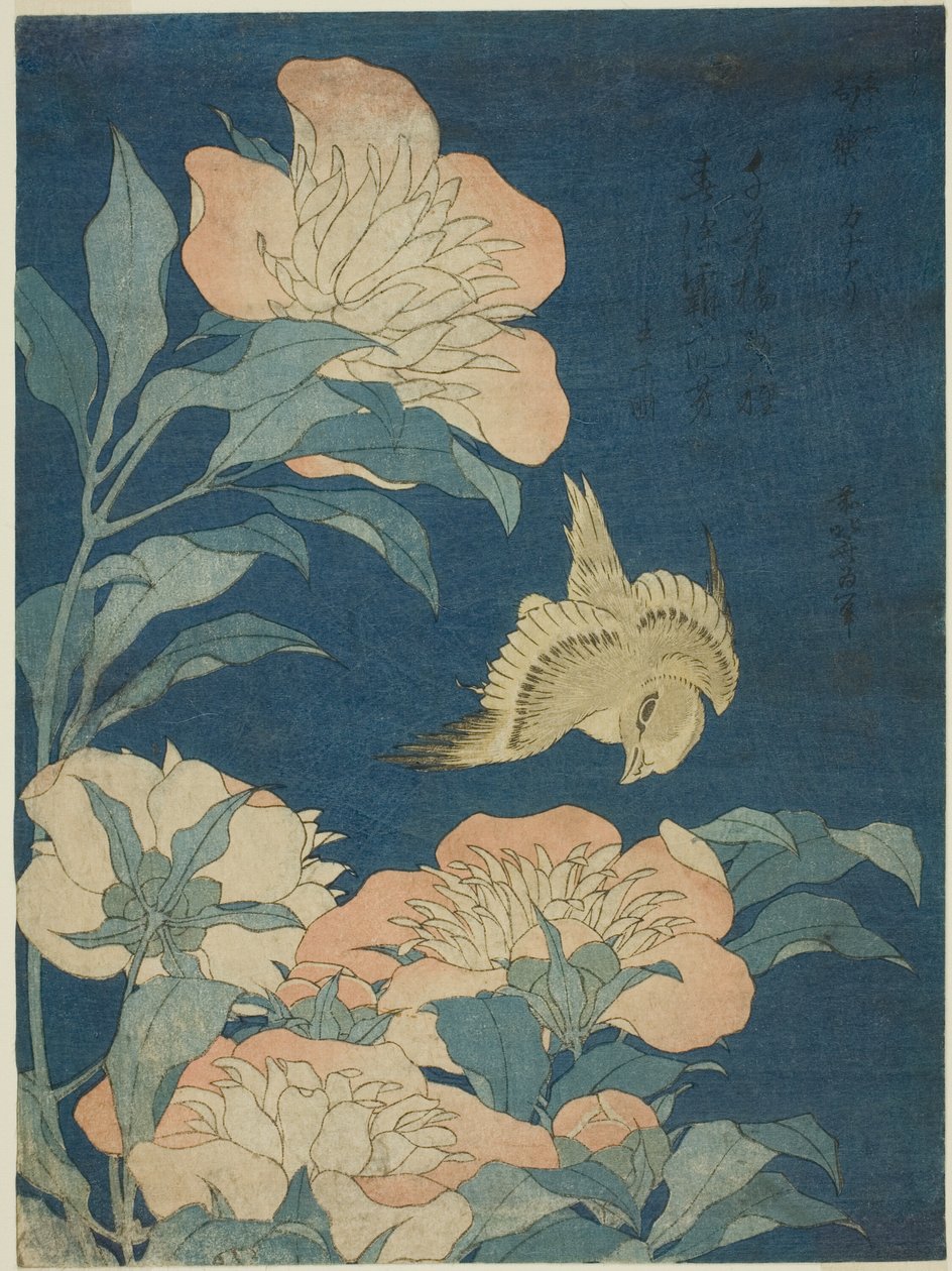 Canary and Peony (Canary, shakuyaku), fra en unavngiven serie af blomster og fugle af Katsushika Hokusai