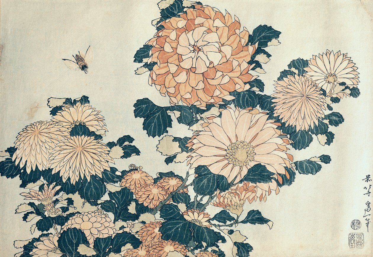 Krysantemum (træbloktryk i farver) af Katsushika Hokusai