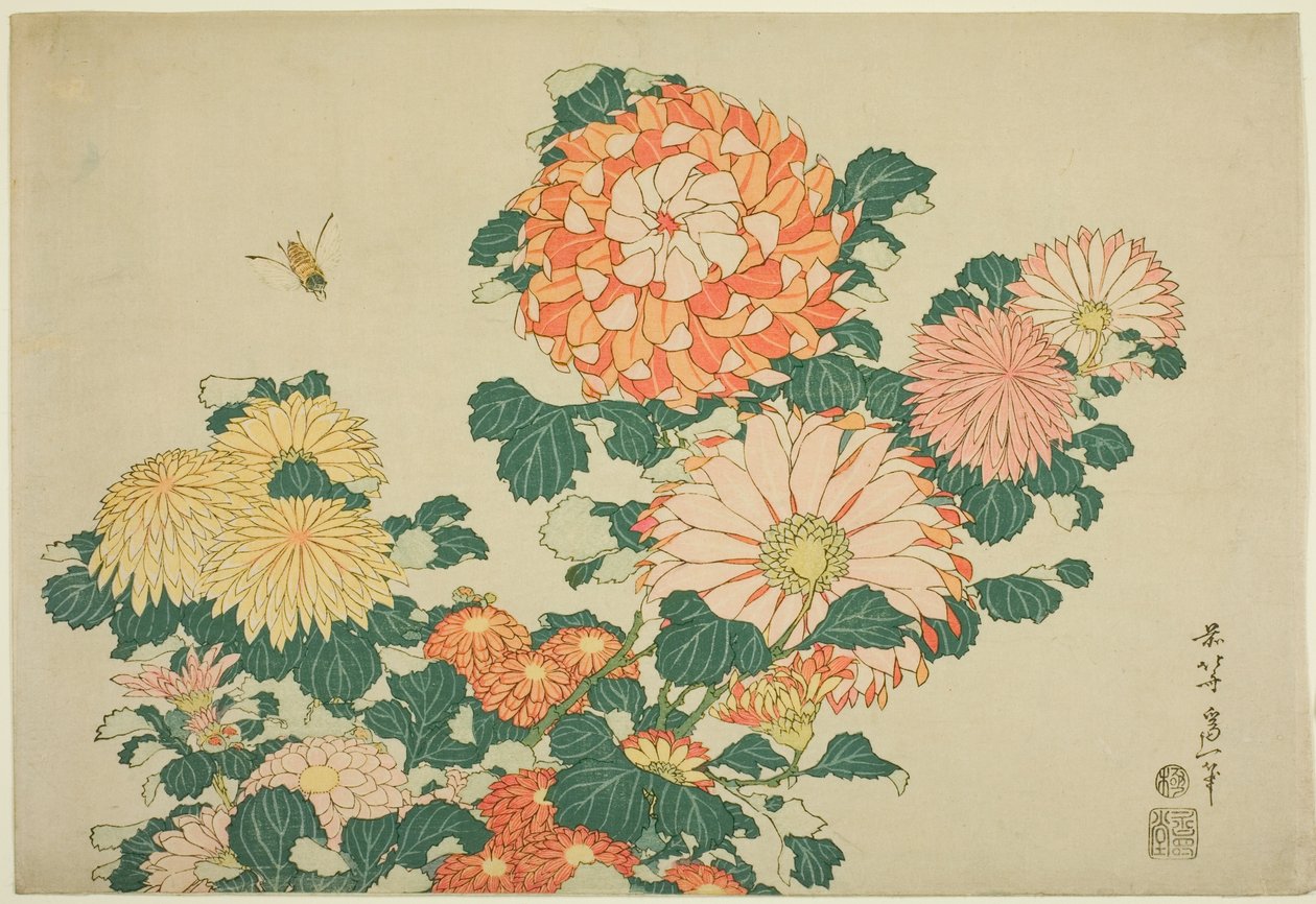 Krysantemum og bi, fra en unavngiven serie af store blomster af Katsushika Hokusai