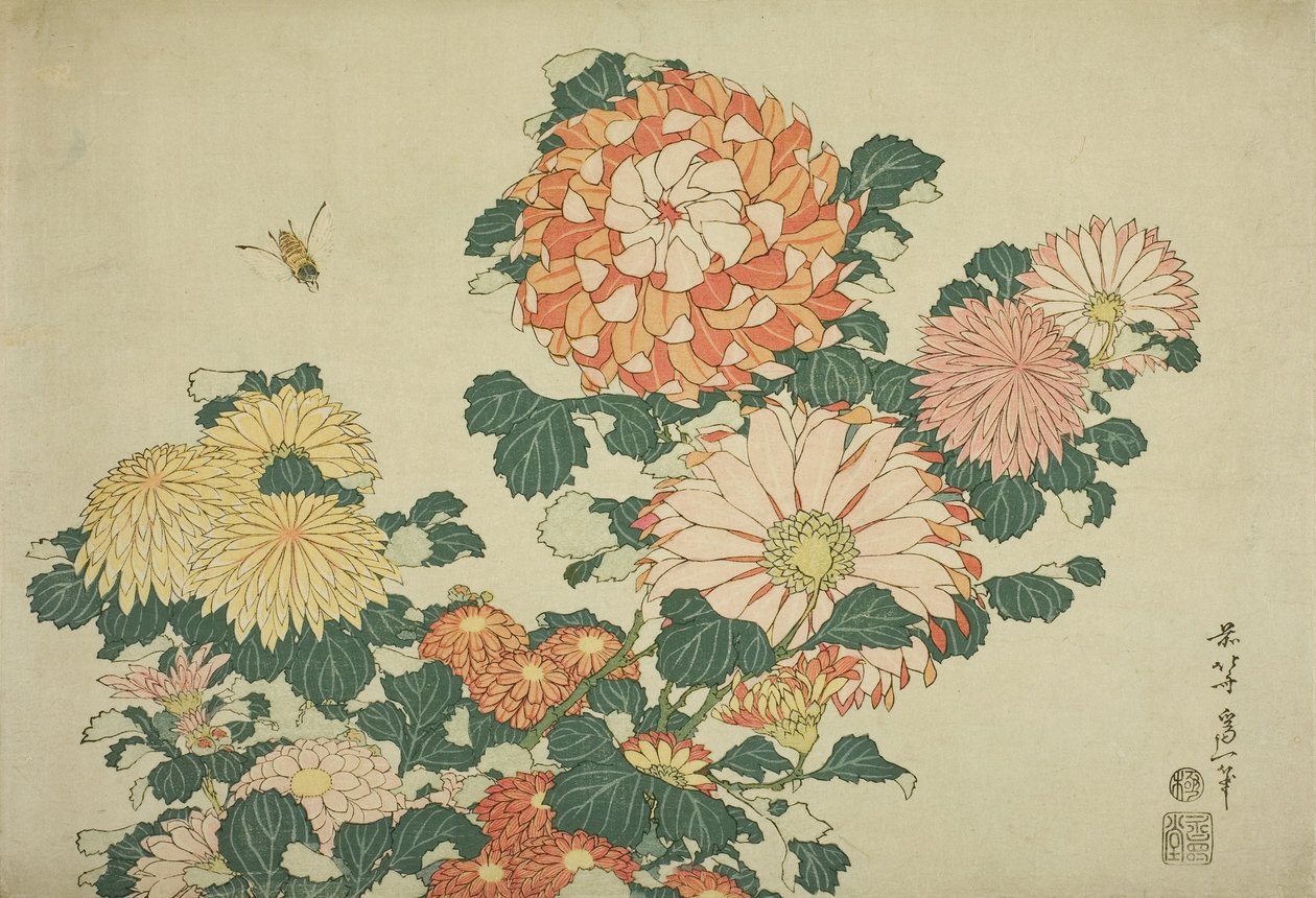 Chrysanthemums and Bee, fra en unavngiven serie af store blomster, ca. 1833-34 af Katsushika Hokusai