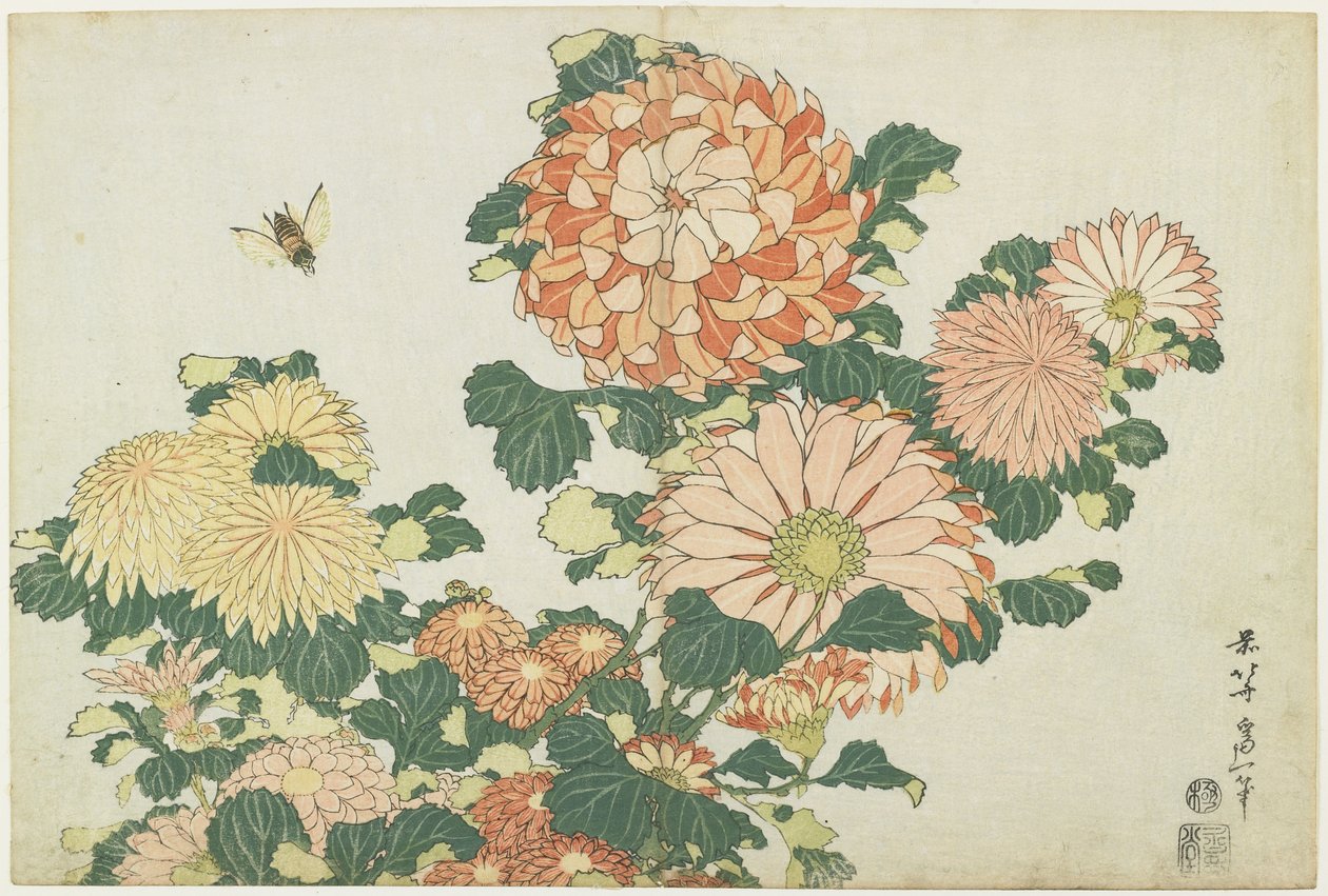 Krysantemum og Hesteflue, ca. 1832 af Katsushika Hokusai