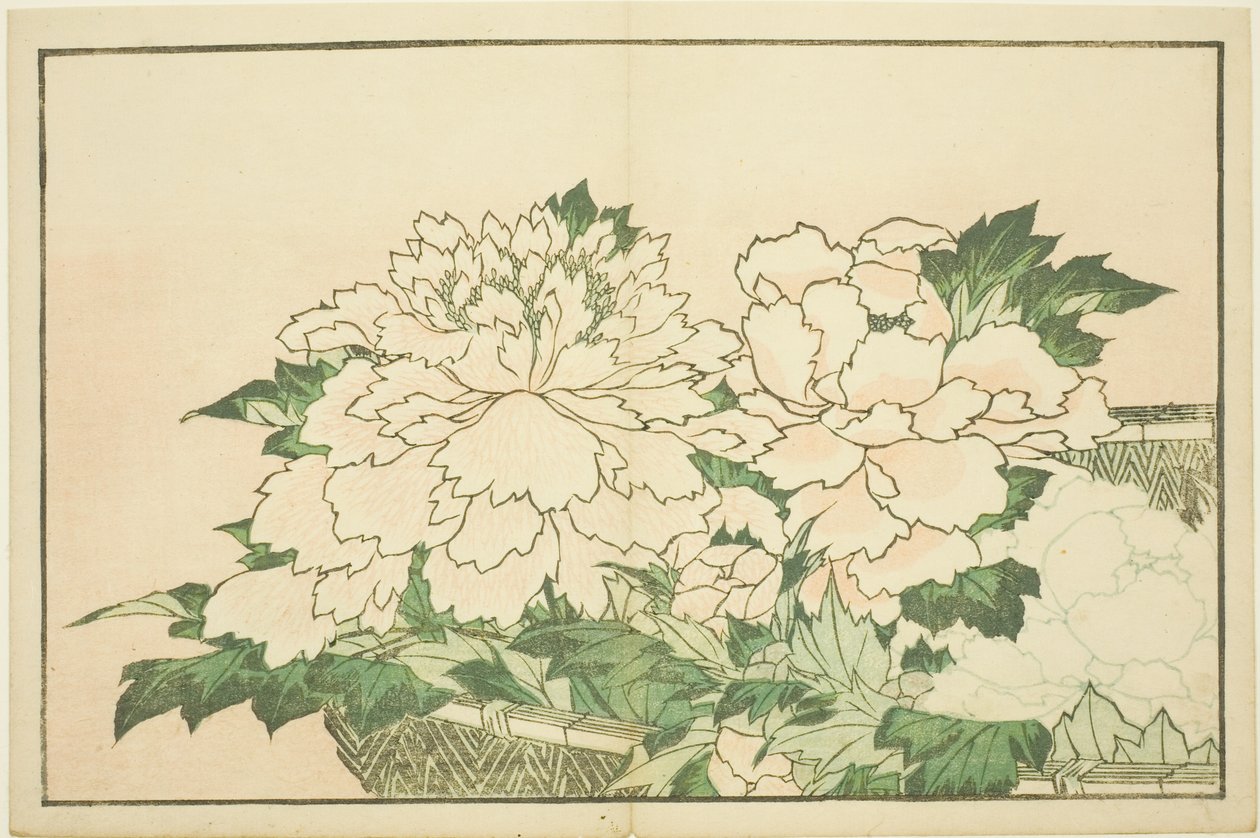 Krysantemum i en kurv, fra billedbogen med realistiske malerier af Hokusai (Hokusai shashin gafu) af Katsushika Hokusai