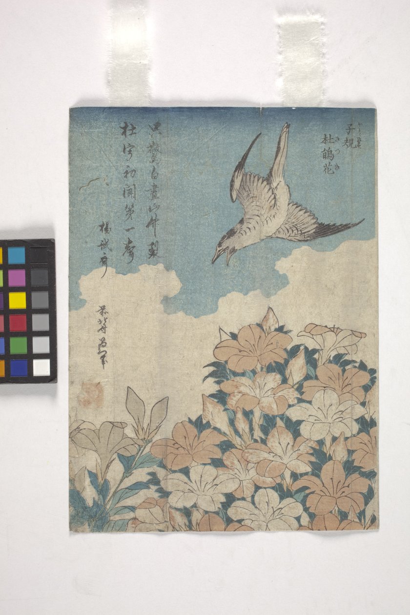 Gøg og Azalea (farvet træsnit) af Katsushika Hokusai