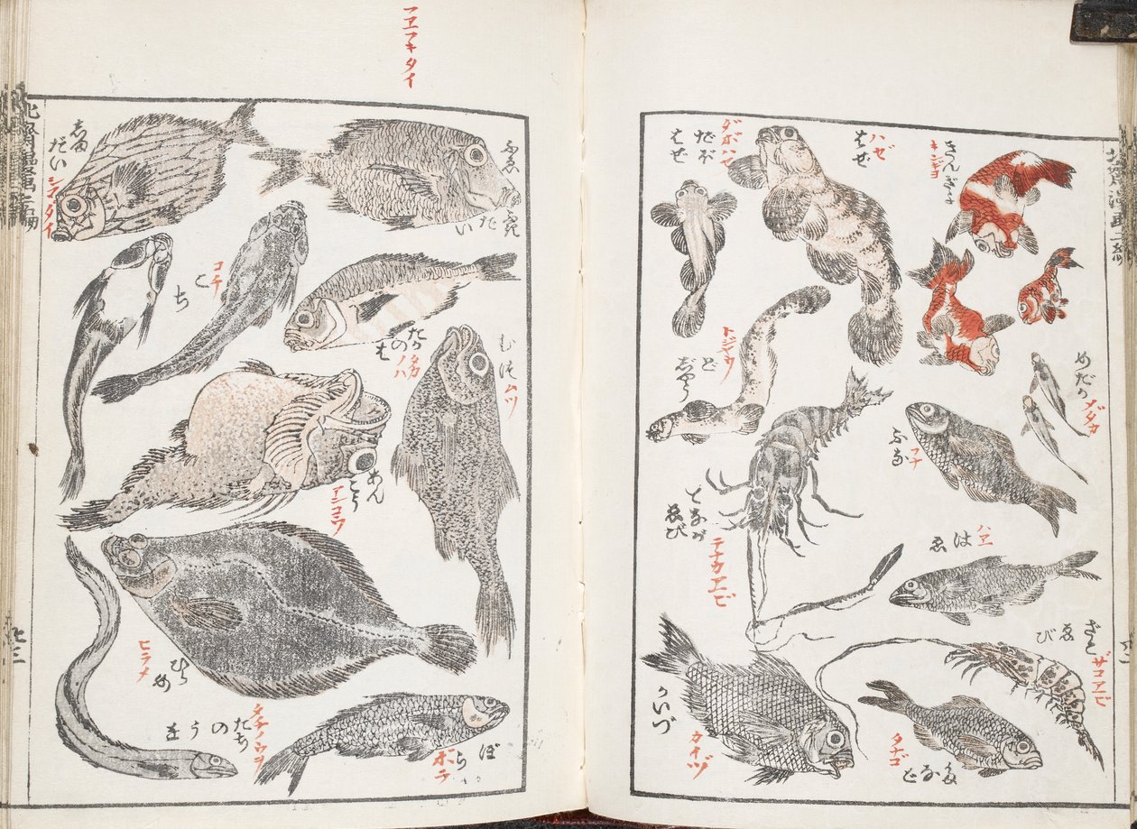 Fisk og havdyr af Katsushika Hokusai