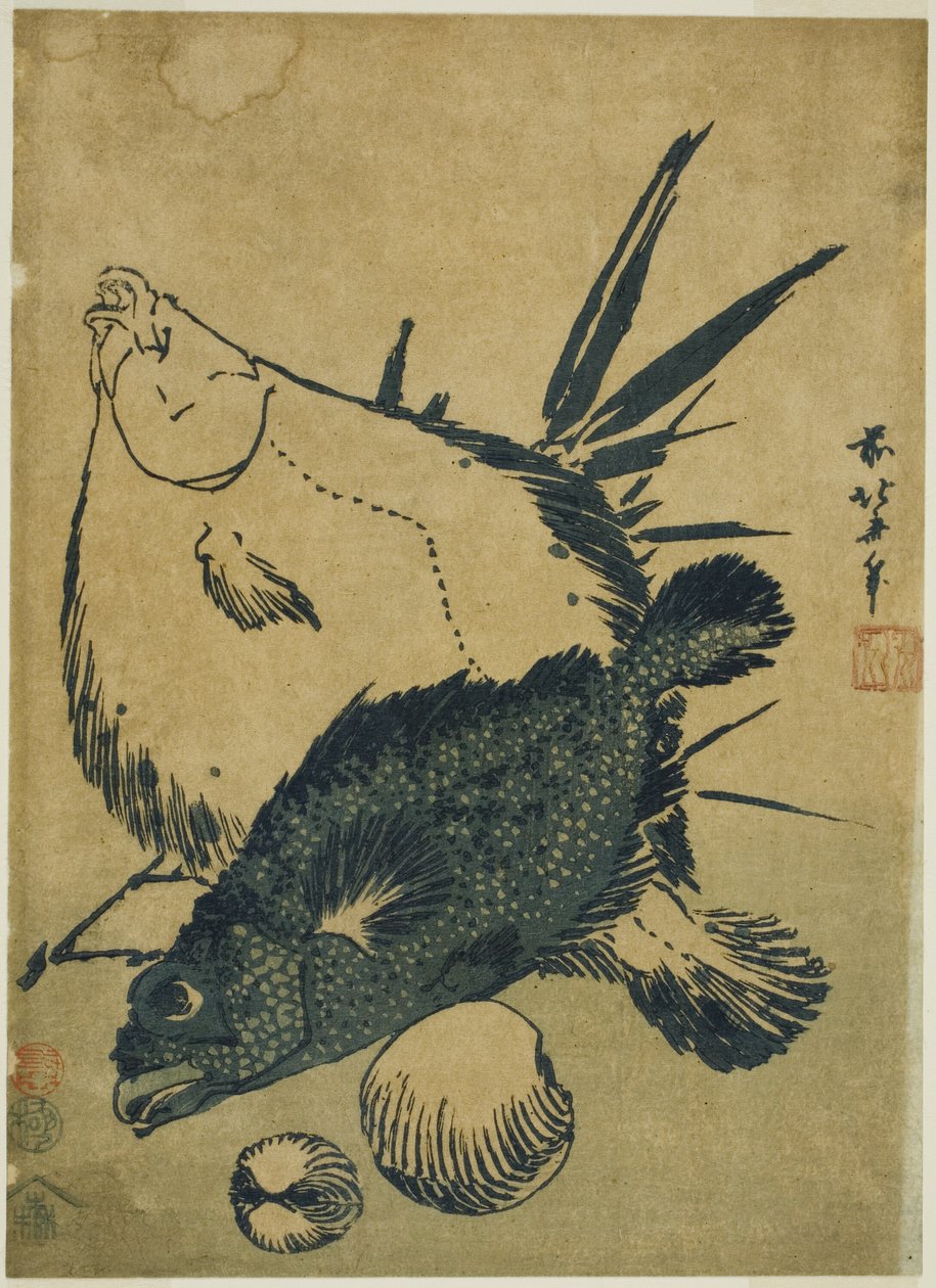 Fladfisk, skorpionfisk og skaller fra en serie af chuban-tryk uden navn af Katsushika Hokusai