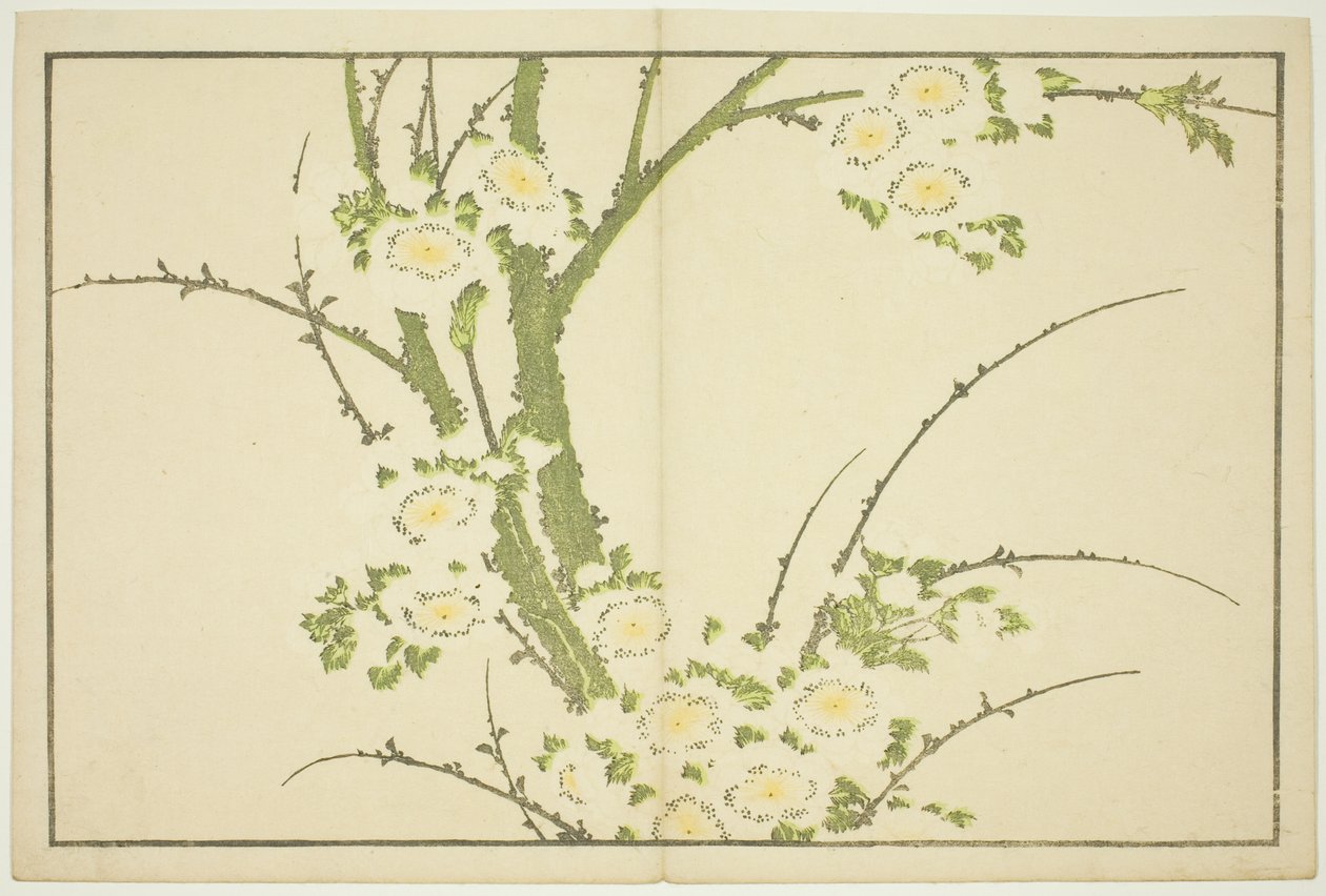 Blomster fra The Picture Book of Realistic Paintings of Hokusai (Hokusai shashin gafu) af Katsushika Hokusai