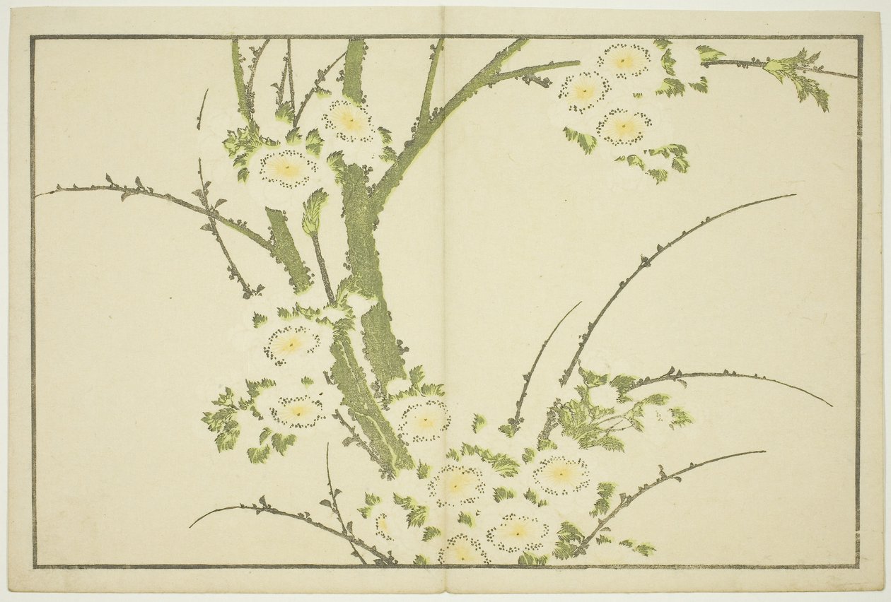 Blomster, fra The Picture Book of Realistic Paintings of Hokusai (Hokusai shashin gafu), ca. 1814 (farvetræsnit (albumark)) af Katsushika Hokusai