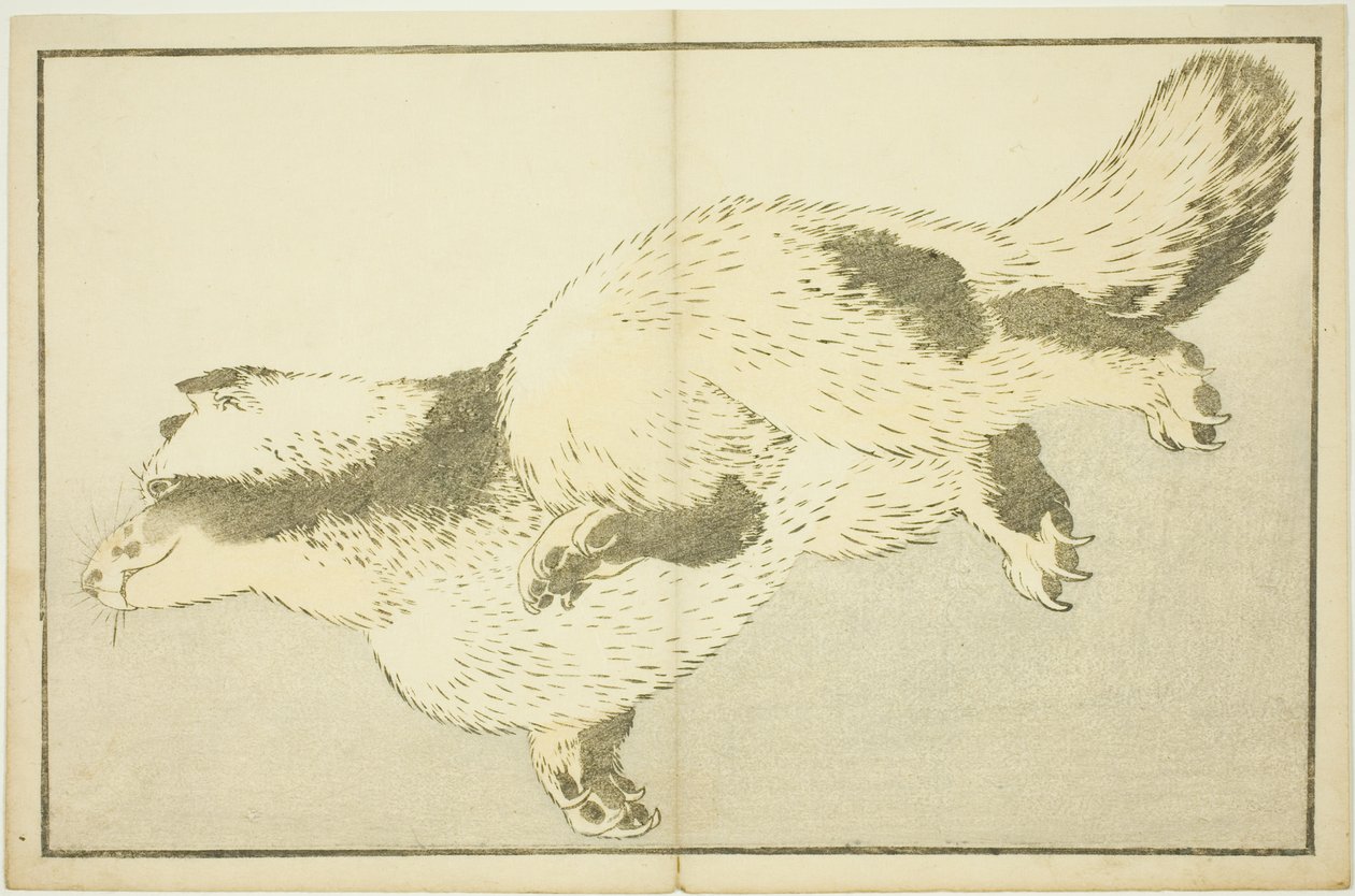 Fox, fra The Picture Book of Realistic Paintings of Hokusai (Hokusai shashin gafu) af Katsushika Hokusai