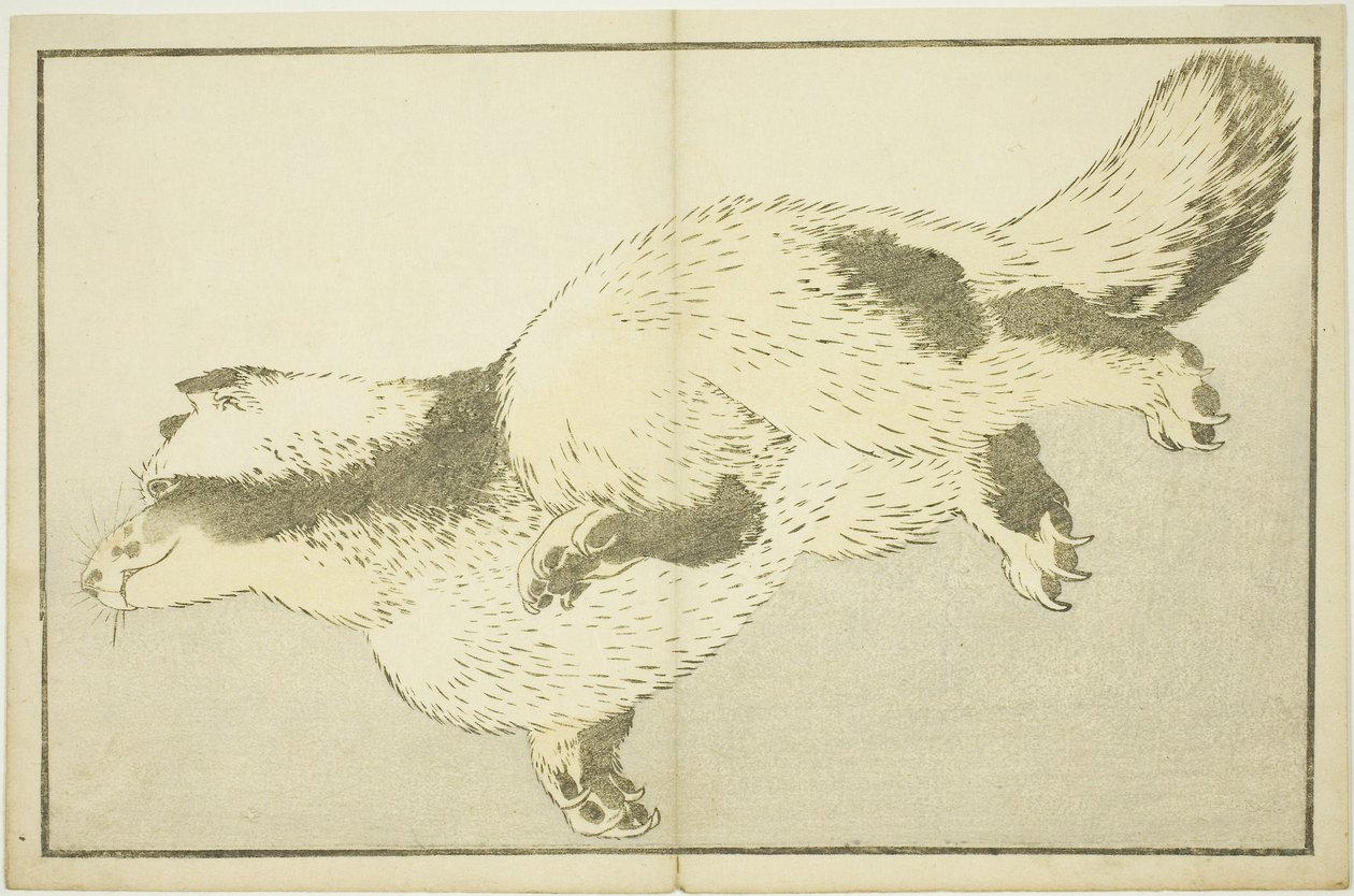 Fox, fra The Picture Book of Realistic Paintings of Hokusai (Hokusai shashin gafu) af Katsushika Hokusai