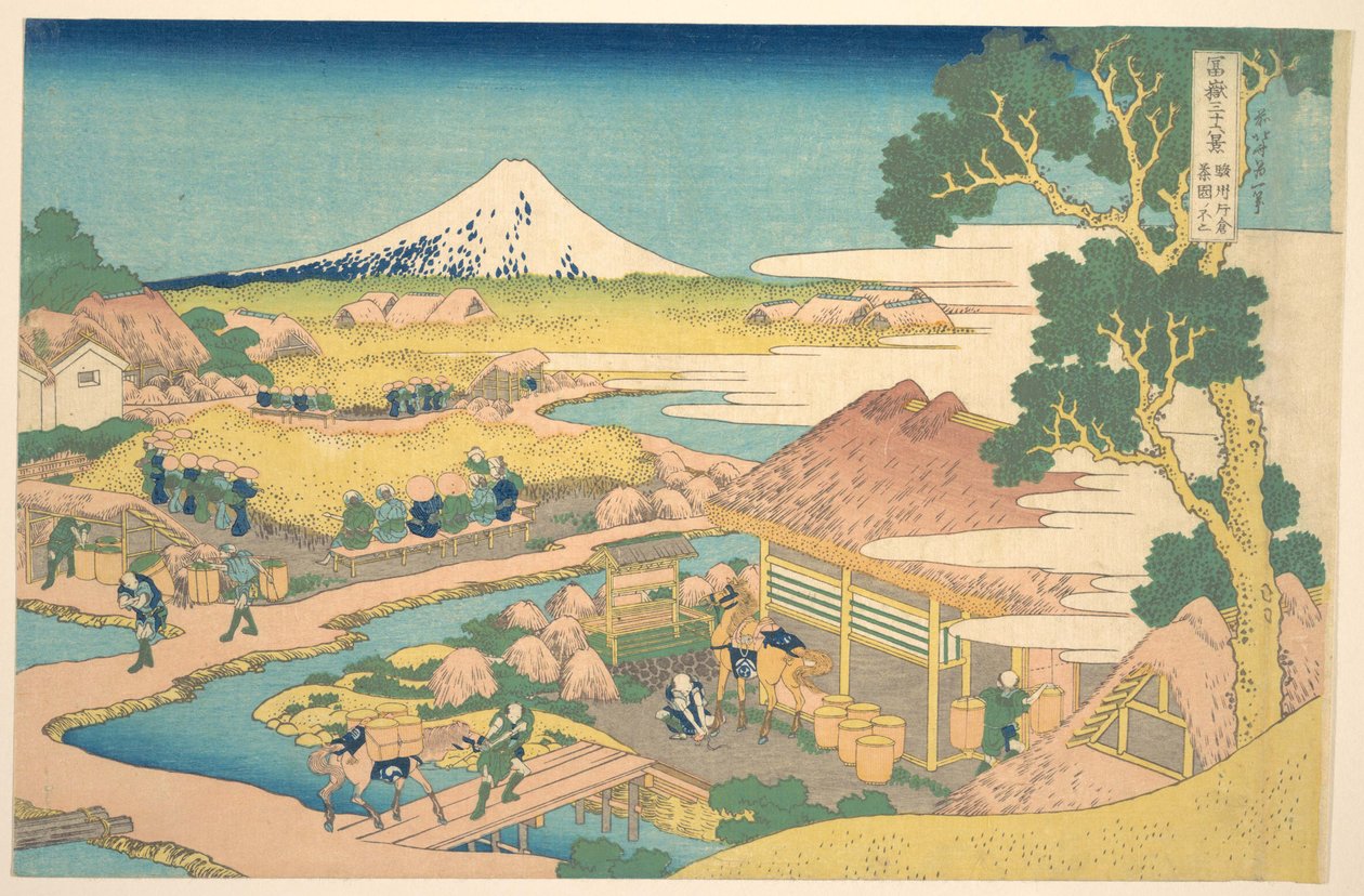 Fuji fra Katakura-teplantagerne i Suruga (Sunshū Katakura chaen no Fuji), fra serien »De 36 udsigter over Fuji« (Fugaku sanjūrokkei) af Katsushika Hokusai