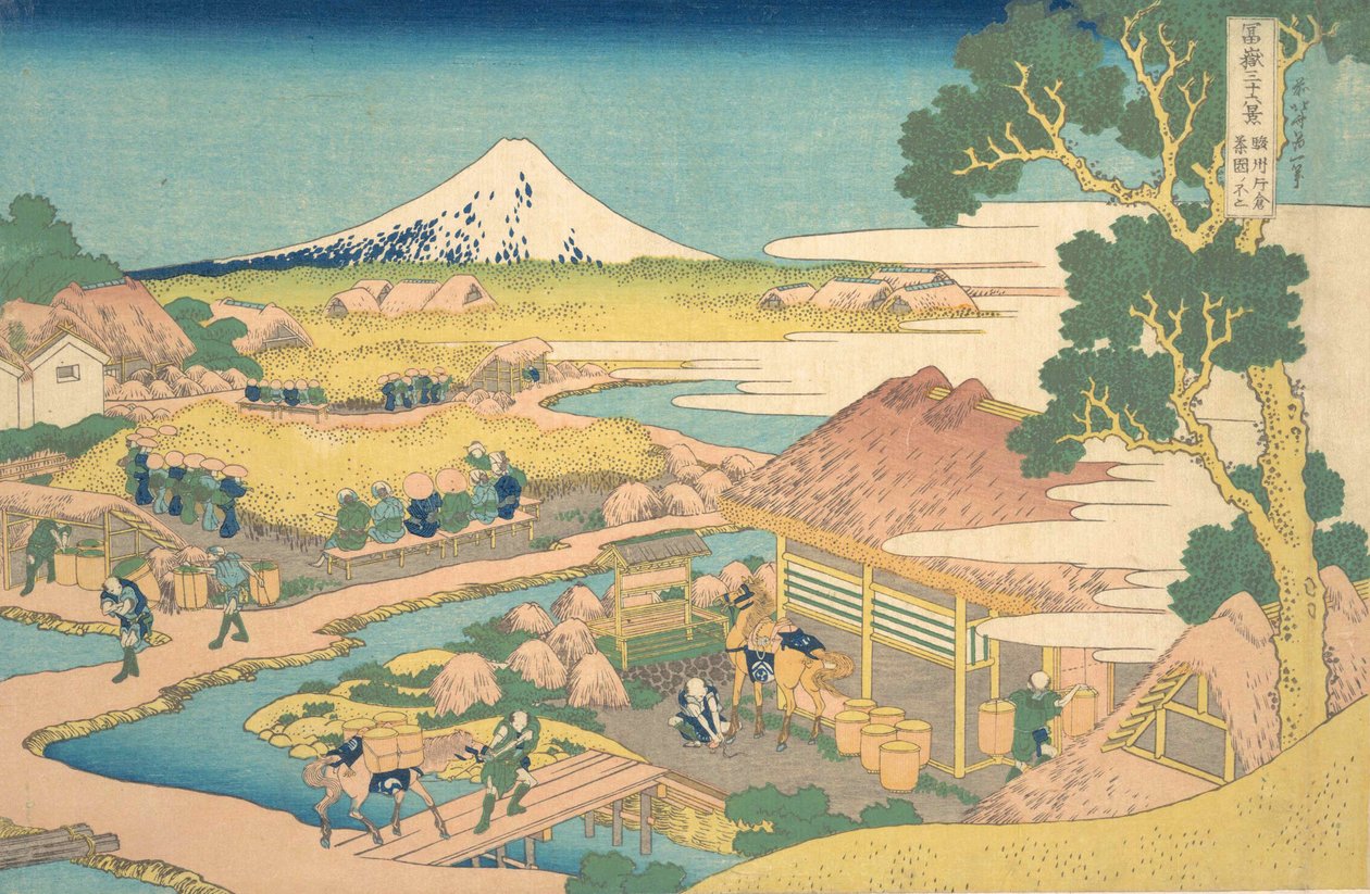 Fuji fra Katakura Thea Fields medlem, men Fuji fra Katakura Tea Garden. . . , myg. 1830-32. af Katsushika Hokusai