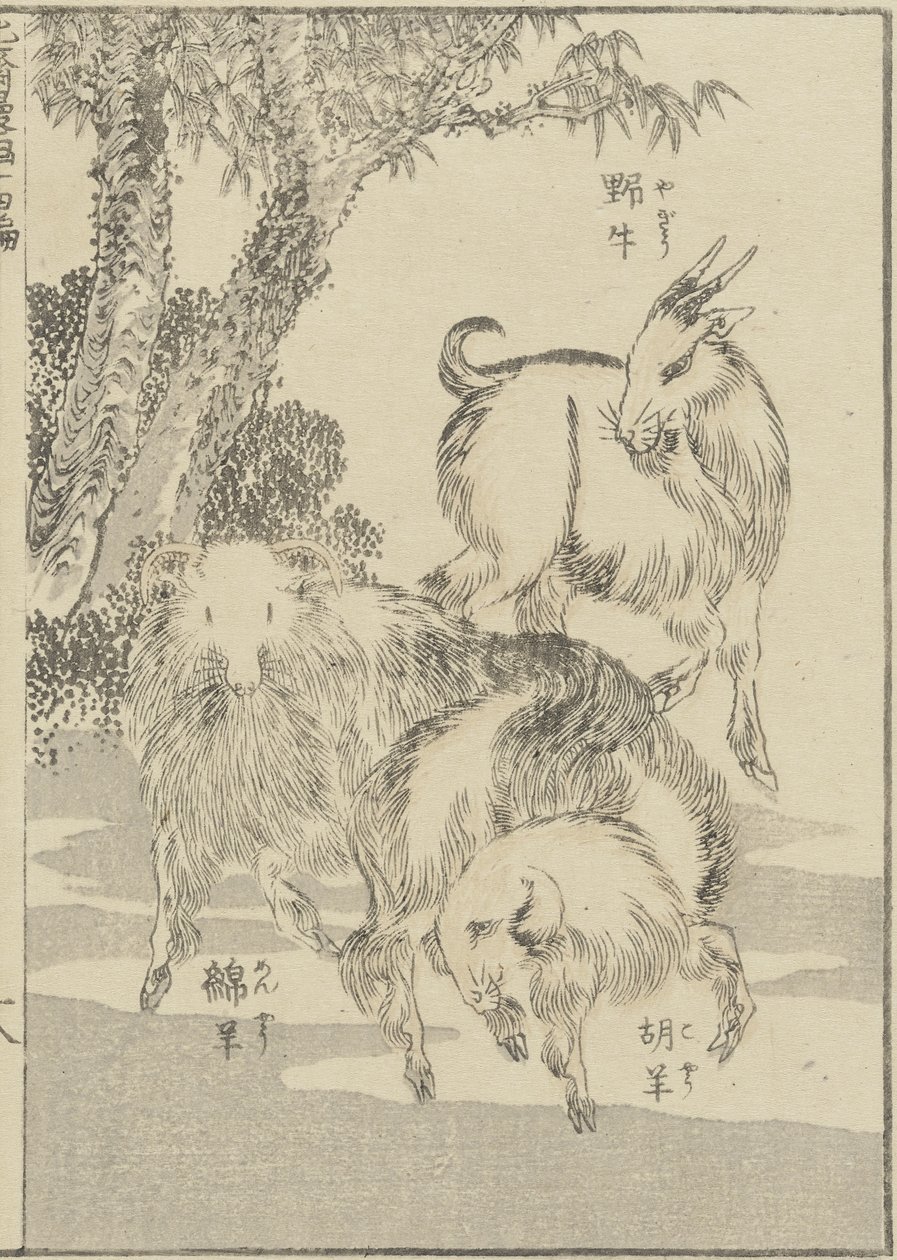 Geder, ca. 1840 (træsnit) af Katsushika Hokusai