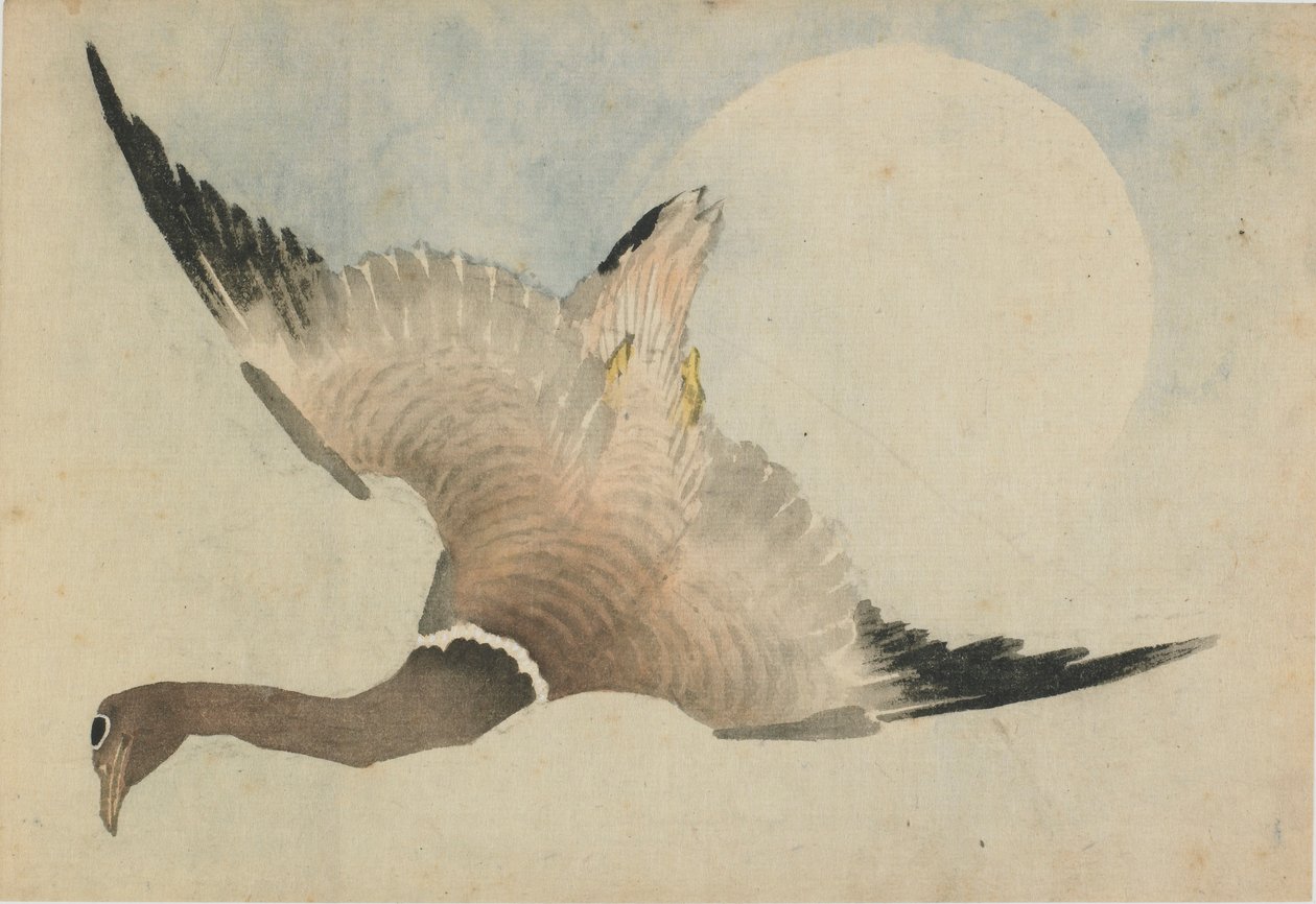 Gås, der flyver foran månen, slutningen af det 18.-begyndelsen af det 19. århundrede. af Katsushika Hokusai