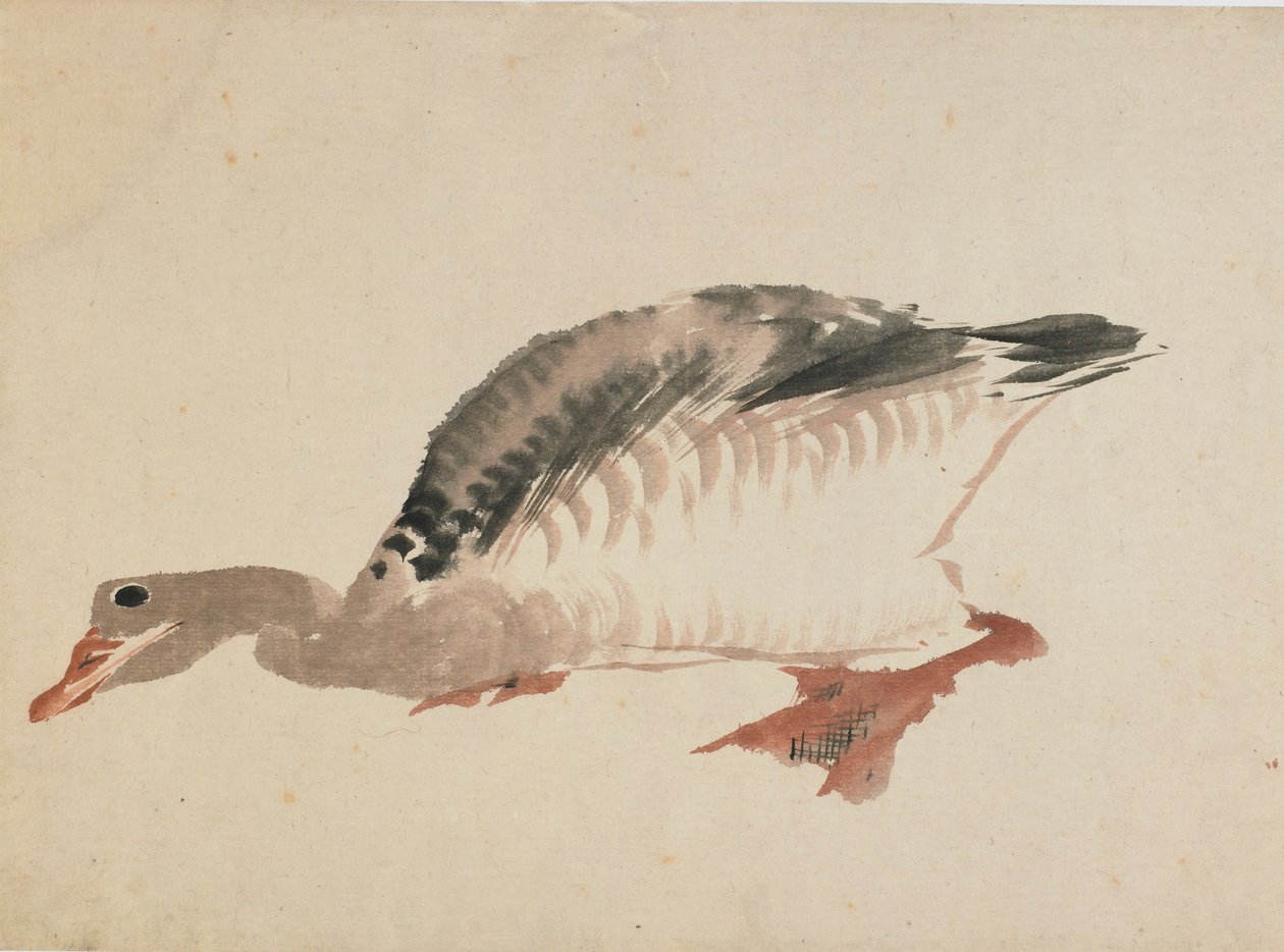 Gås, slutningen af det 18.-begyndelsen af det 19. århundrede. af Katsushika Hokusai