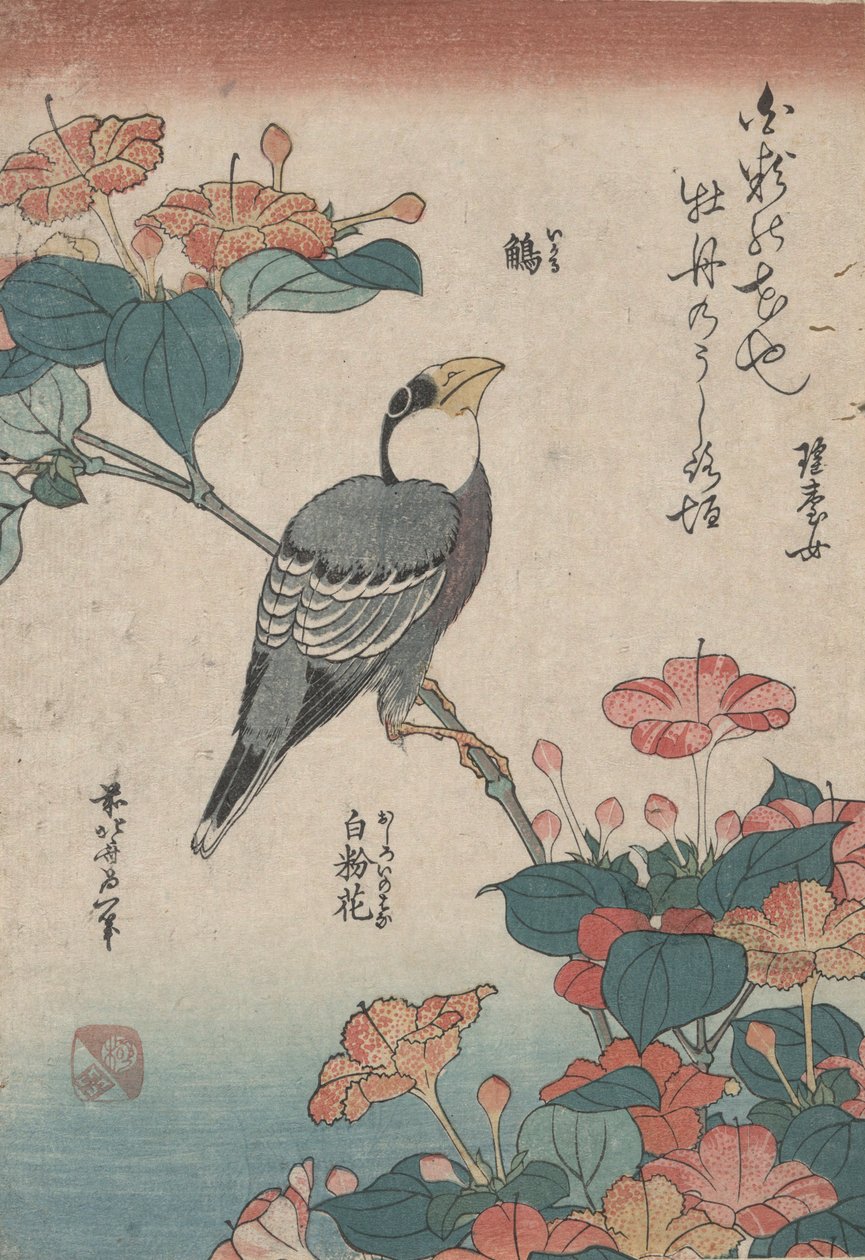Grosbeak på Mirabilis, fra en unavngivet serie ved navn Small Flowers af Katsushika Hokusai