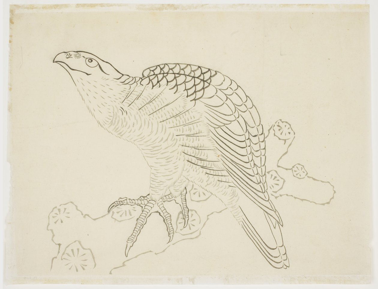 Hawk on a Branch (studie) af Katsushika Hokusai