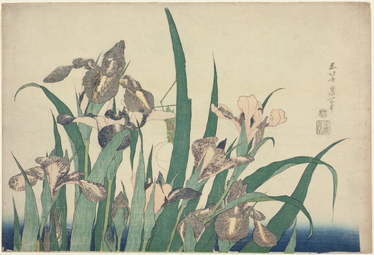 Iris og græshoppe, fra en unavngiven serie af store blomster af Katsushika Hokusai