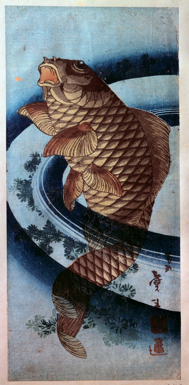 Japansk kunst: en karpe. tryk af Katsushika Hokusai (1760-1849) Paris fra det 19. århundrede, Musee Guimet af Katsushika Hokusai
