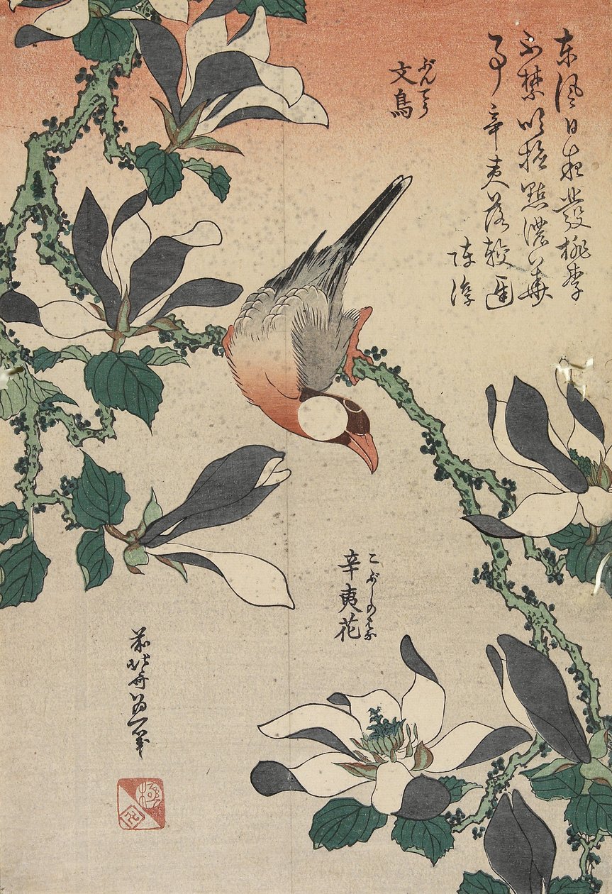 Javamåge og magnolie, ca. 1832 af Katsushika Hokusai