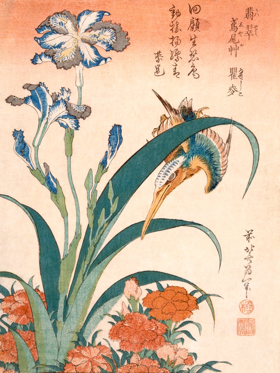 Kingfisher, Iris og Pinks (træbloktryk i farver) af Katsushika Hokusai