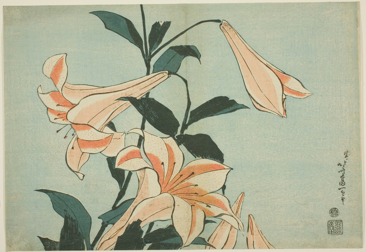 Liljer fra en serie af store blomster uden titel af Katsushika Hokusai