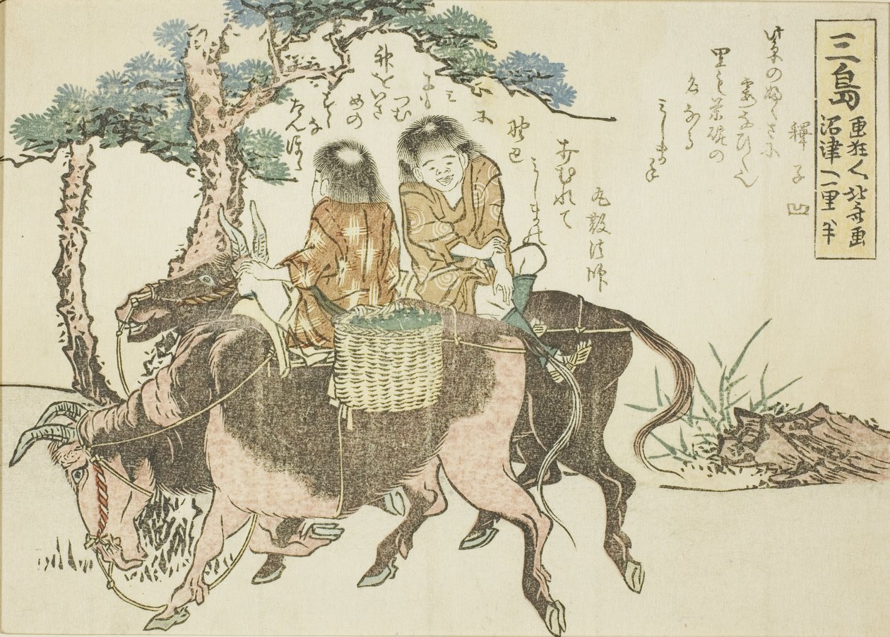 Mishima, fra en unavngiven serie af de 53 stationer i Tokaido af Katsushika Hokusai
