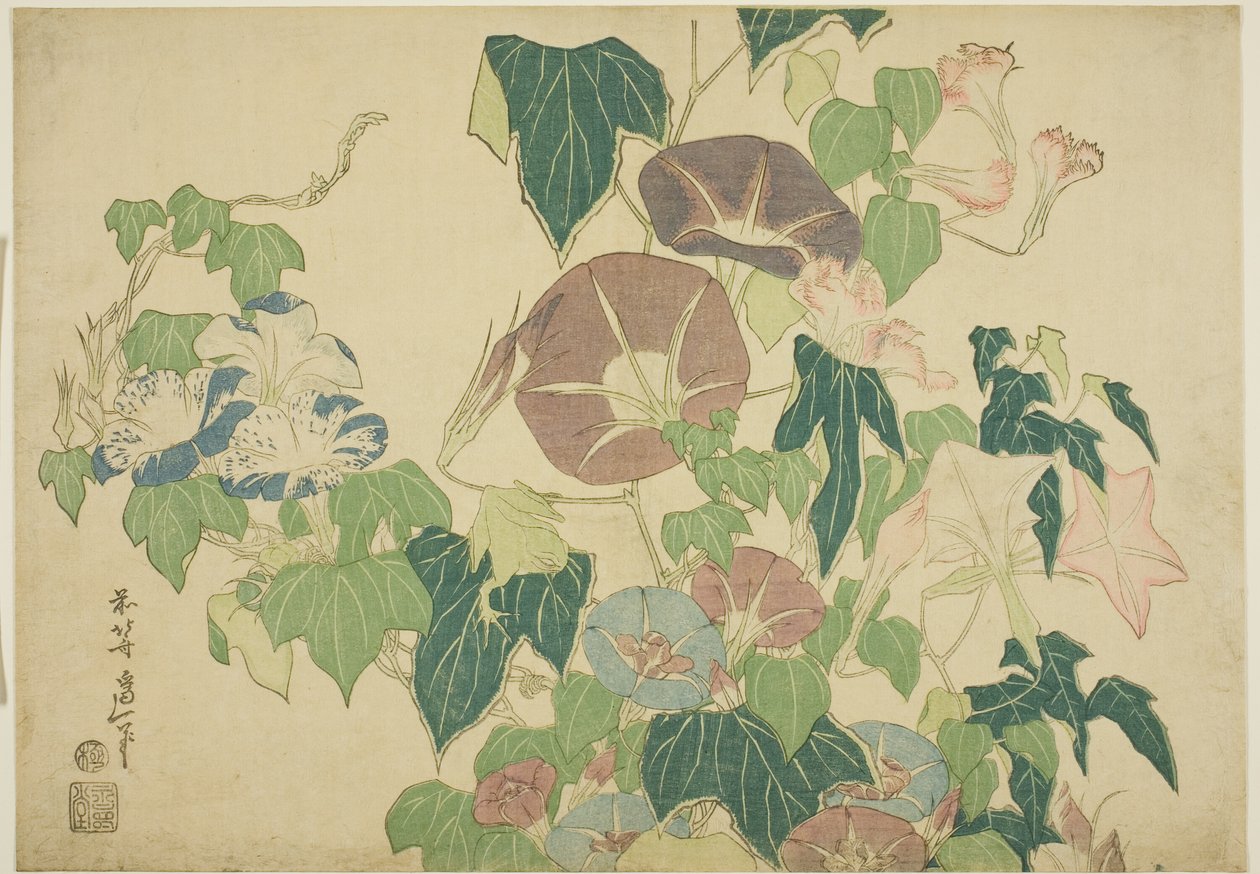 Morning Glories og løvfrø fra en serie af store blomster uden titel af Katsushika Hokusai