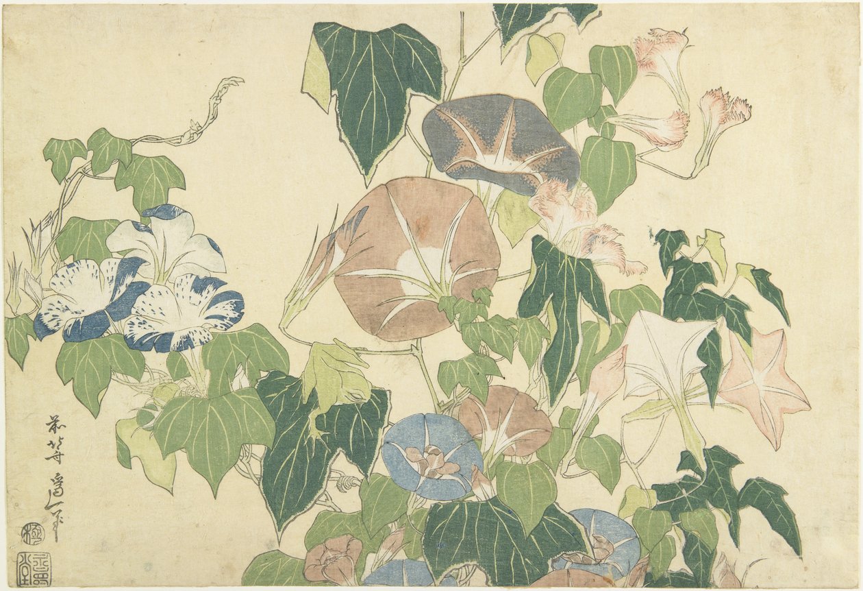 Morning Glories and Tree Frog, fra den navnløse serie kendt som Store blomster, ca. 1833-34 (træblok i farver) af Katsushika Hokusai