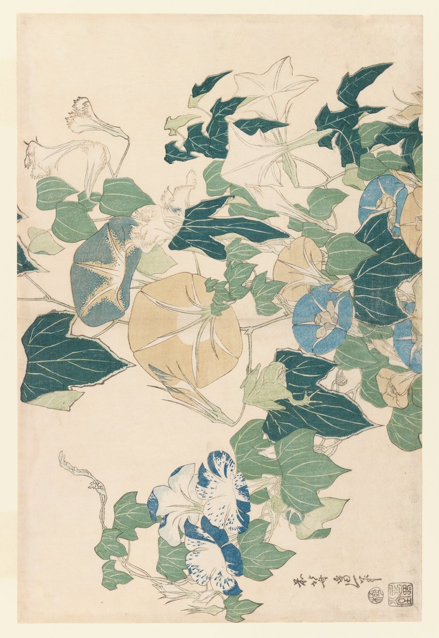 Morning Glories in Flowers and Buds, ca. 1830 (træbloktryk i farver) af Katsushika Hokusai