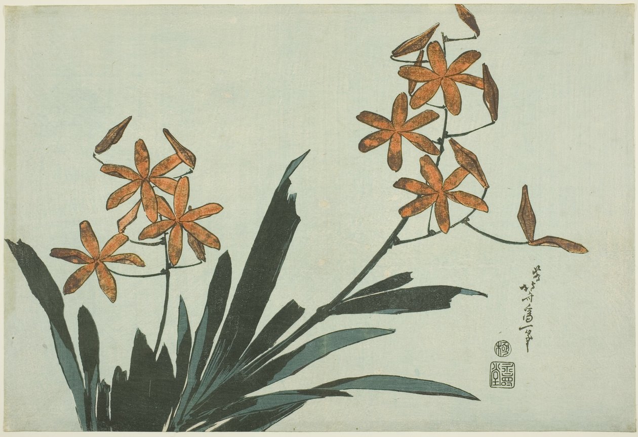 Orange orkideer, fra en unavngiven serie af blomster af Katsushika Hokusai