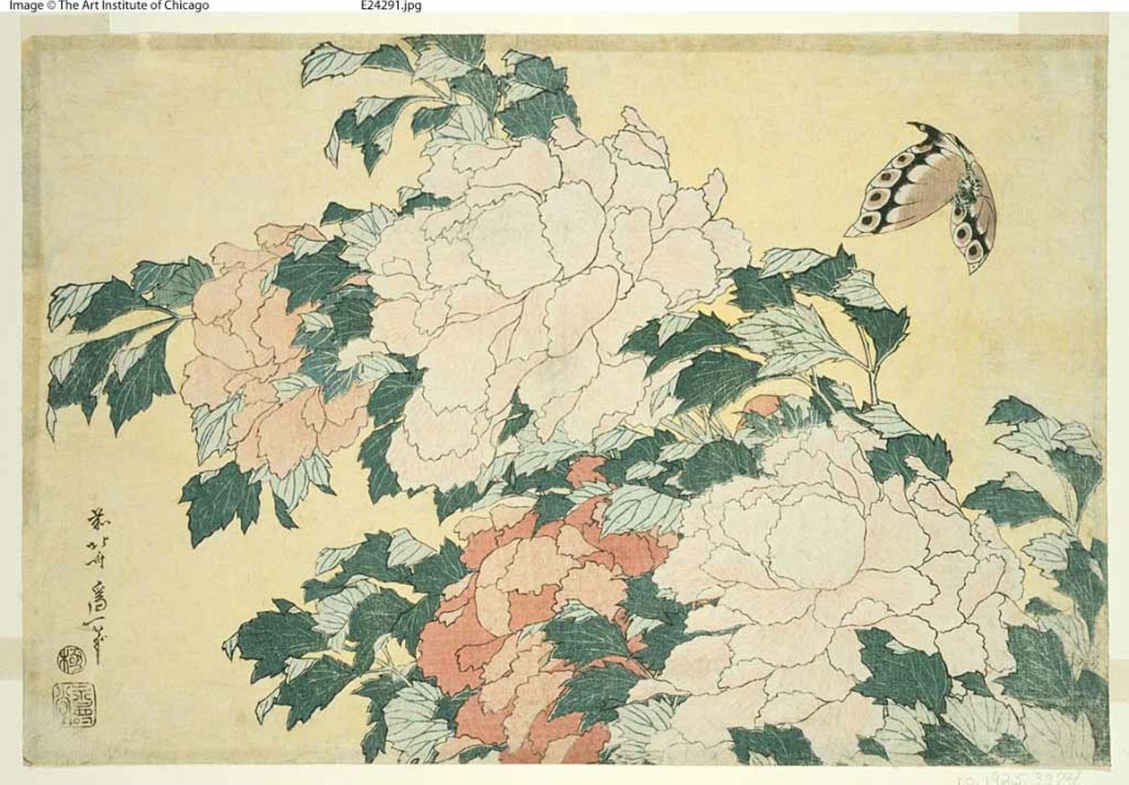 Pæoner og sommerfugle, fra en unavngiven serie af store blomster af Katsushika Hokusai