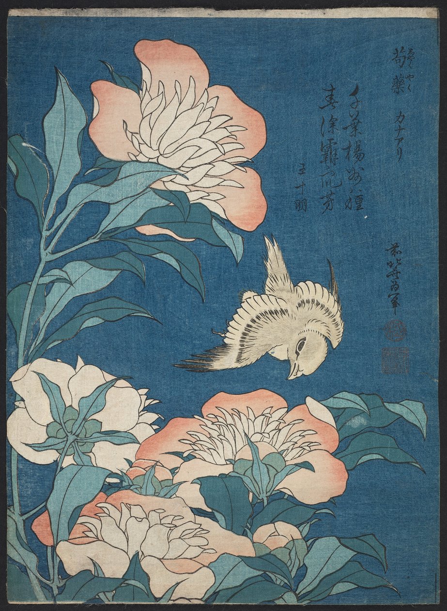 Peonies and Canary (Shakuyaku, kanaari), fra en serie uden navn, kendt som små blomster af Katsushika Hokusai