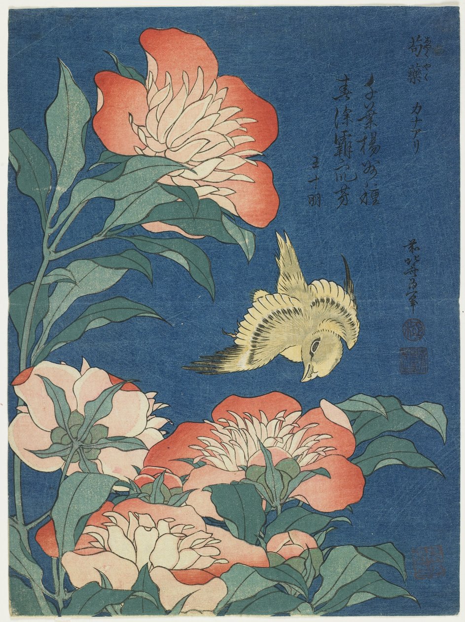 Pæoner og Kanariefugle, ca. 1833 af Katsushika Hokusai