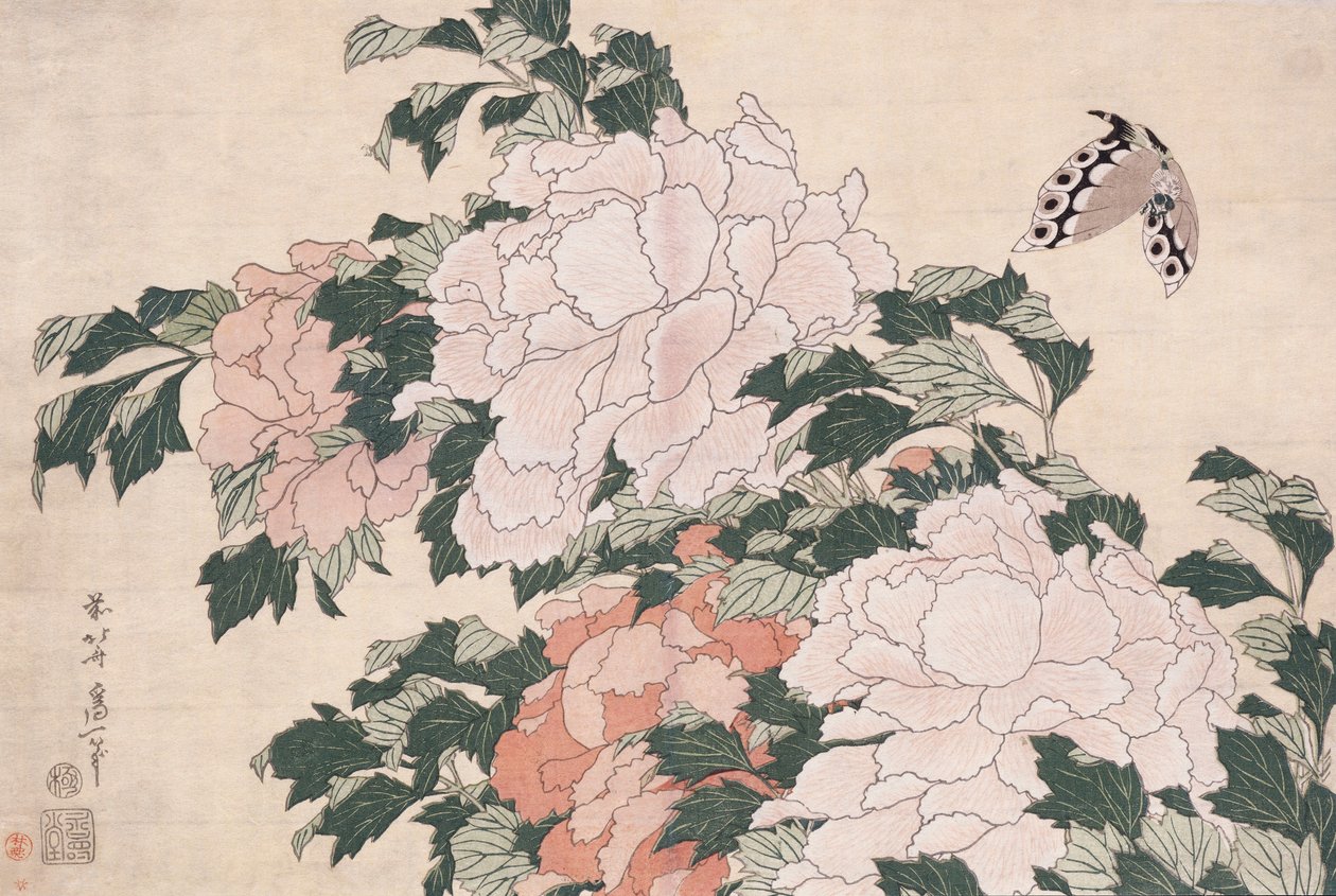 Lyserøde og røde pæoner blæst til venstre i en brise og en sommerfugl af Katsushika Hokusai