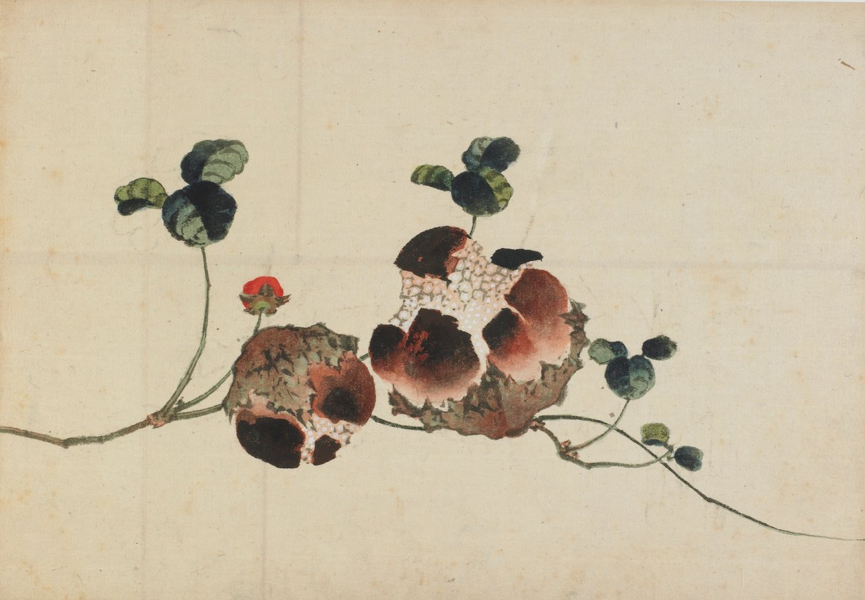 Granatæbler, slutningen af det 18.-begyndelsen af det 19. århundrede. af Katsushika Hokusai