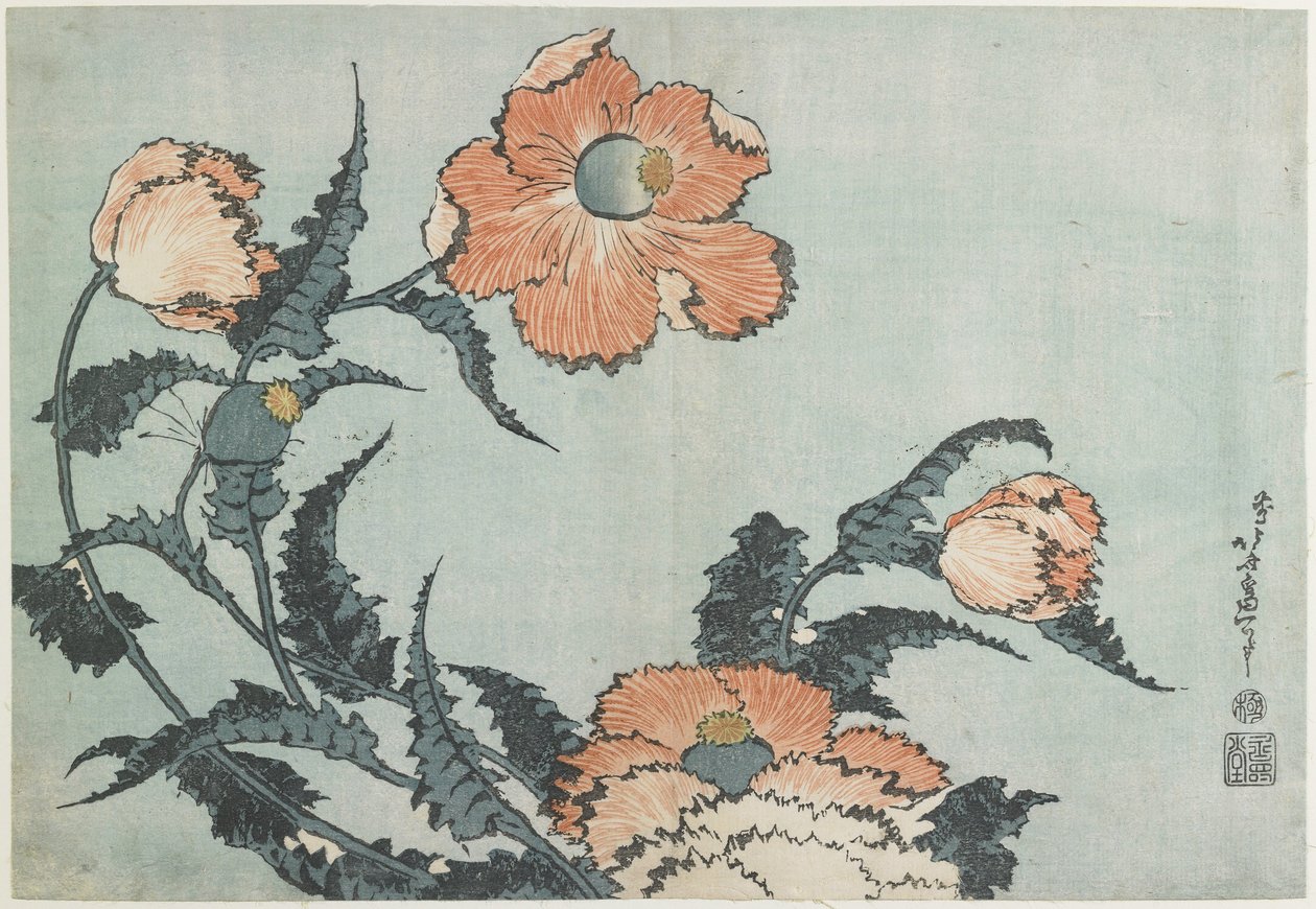 Valmuer, ca. 1832 af Katsushika Hokusai
