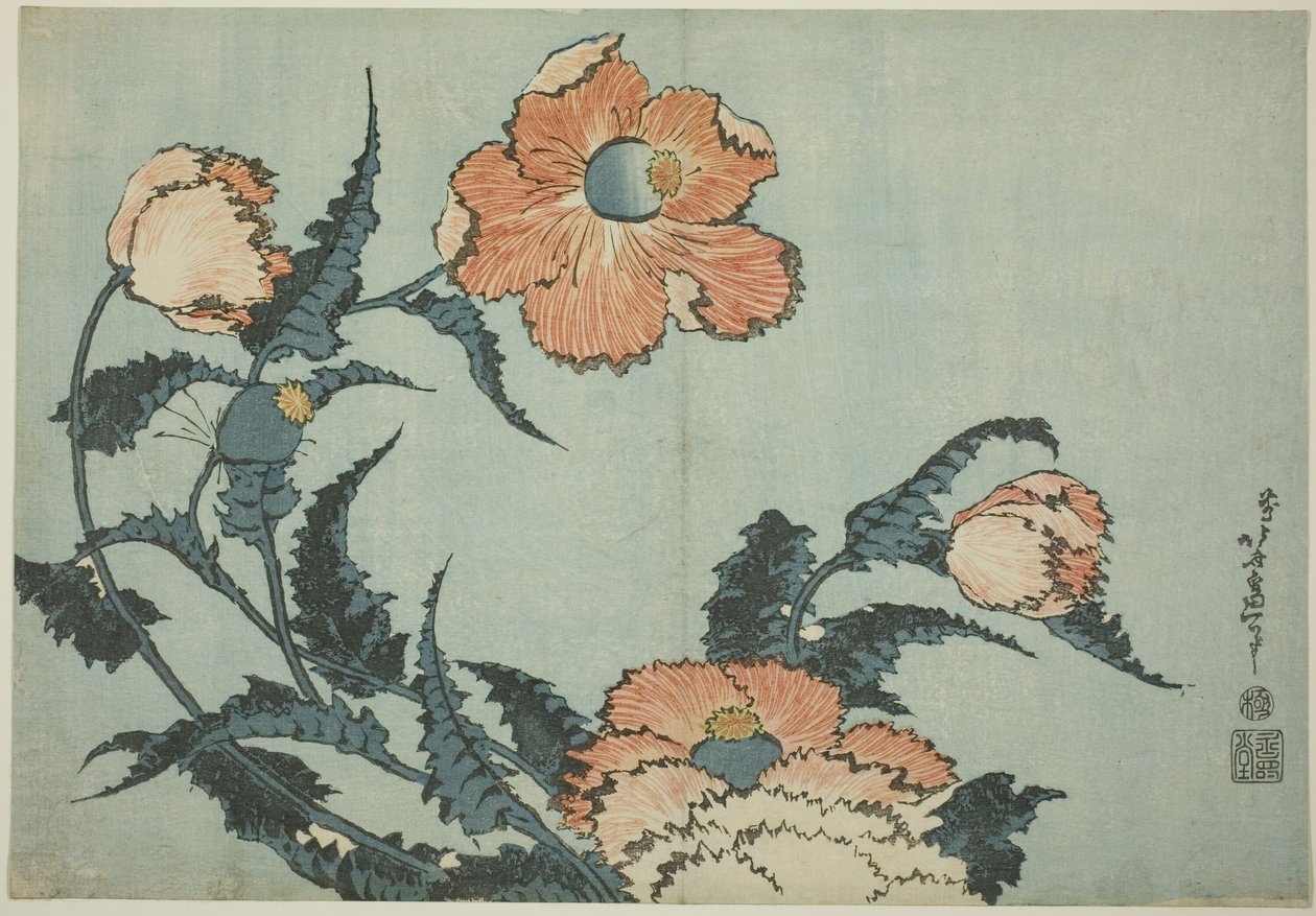 Valmuer, fra en unavngiven serie af blomster af Katsushika Hokusai