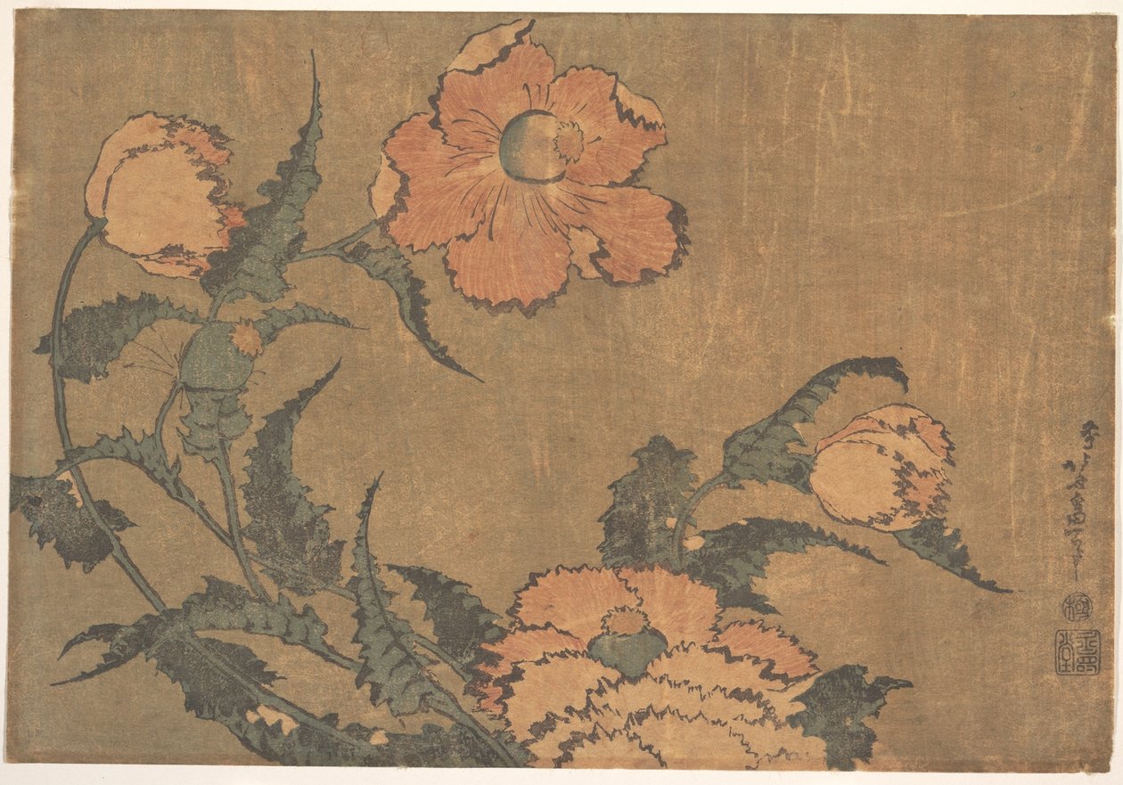 Valmuer i vinden af Katsushika Hokusai