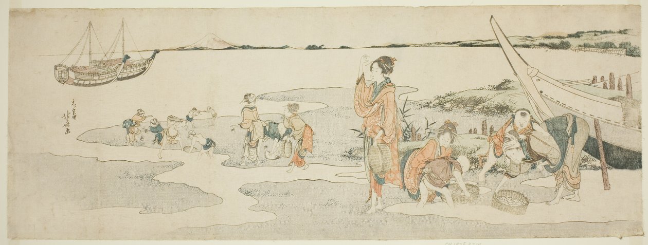 Indsamling af skaldyr af Katsushika Hokusai