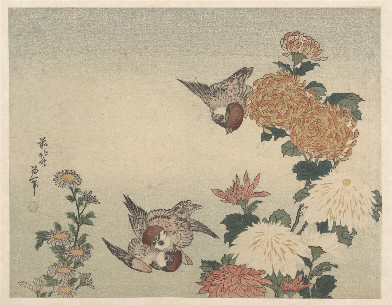 Spurve og krysantemum af Katsushika Hokusai