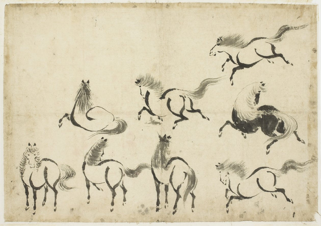 Studies of Horses, ca. 1815-1849 (blæk på papir) af Katsushika Hokusai