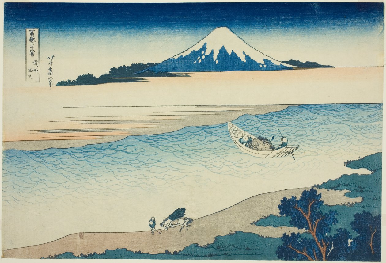 Tama-instruktør Musashi P Rovinse (radikal Tamagawa), fra Teseries ``Tierty x Views Of Mount Fuji (Fugaku Usaju Rokukatsu)