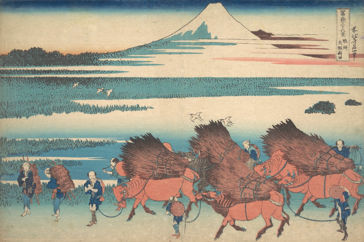 The New Fields at Ono i Suruga-provinsen Sunshu Ono shinden, fra serien Thir..., ca. 1830-32. af Katsushika Hokusai
